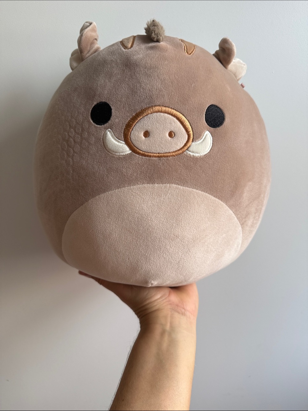 Squishmallows • Warren the Boar (also referred to as Warren the Warthog) 12”